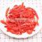 Sinocharm New Season Fresh Organic IQF Red Pepper Strips Frozen Red Pepper