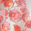 Plastic Rose Flowers LED Tree Table Lamps 24Led Rose Table Gift for Girls Woman Home Decor Battery Powered decorative flowers
