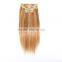  Clip In Hair Extension, Double Drawn Weft Full Ending Clip In Hair Extension