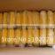 RSG best quality high resistance reflective 3M Road Stud/road reflector/cat eye road marker