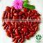 New Crop Red Kidney Beans Heilongjiang Origin