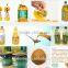 30TPD Rice Bran Oil Making Machine with Lowest Price for Sale