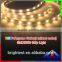 Addressable RGB+W/RGB+R Waterproof IP 65 12VDC/24VDC 12 power led strip 5050 60LEDS/M