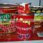 Good Quality Tomato Paste, Hot Sizes 70g ~ 3000g