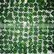 with BRC certificate iqf frozen spinach