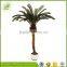 customized outdoor decoration anti-UV artificial cycas revoluta tree for sale