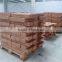 ceiling tee bar grid with golden line