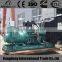 800kw Diesel Generator Set Price Powered by WUDONG Quality Choice
