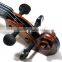 The Popular Solid Spruce Violin SV016E