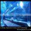 Clear Acrylic Sheet for Ocean Aquarium Tunnel Project
