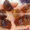 100% Natural Untreated Brazilian Citrine Crystal Stone Yellow Color Loose Gemstone Rough