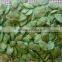 Chinese Green-tea flavor pumpkin seeds for sale