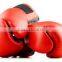 Leather Punching Boxing Gloves
