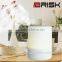 Ultrasonic Humidifiers Color Changing LED Light Mini Air Purifier Aroma Diffuser Humidifier
