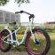Best Electric Bicycles 2016 Adult Electric Bike