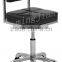 stainless steel frame hairdressing master chair M301A