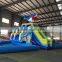 jumping castles inflatable water slide,inflatable vagina slide