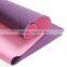 Colorful Sticky Thermos Plastic Elastomer Yoga Mat