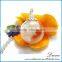  website hot christmas decoration gift round dome glass golbe handing terrarium