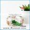 hand-made plant flower bangle new design Natural Real dry Flower bangle