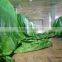 Light Duty Check PE Plastic Sheeting