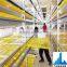 Poultry Cage/Chicken Cage/Hebei