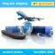 freight forwarder 20 foot shipping container from china shenzhen guangzhou/shanghai/ningbo etc