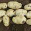 Fresh potato 200-250g mesh bag packing from factory directly