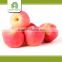 wholesale china fresh fuji apple with average price
