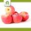 wholesale china fresh fuji apple with average price