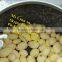 electric potato peeling machine/stainless steel potato peeler