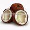 Pure Coconut Oil