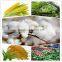 longways beta-cypermethrin products 95%TC widely used to agricultural pests of cotton/vegetable/fruit tree