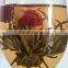 Beauty blooming Flower Tea Silver Needle Tea high quality