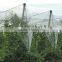 China Factory Plastic Anti Hail netting / Anti Hail Net
