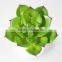 85 Different kinds Mixed Artificial succulent plants DIY Spring Collection