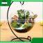 home goods decorative hanging slanted clear round glass decoration bonsai vase with metal stand