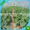 blow molding greenhouse film 200 micron, 2-3 years useful life and UV stablized