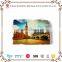 2016 Hot Sale Resin Fridge Magnet