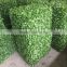 Landscaping Garden Green Decorative Artificial Boxwood Hedge Fence
