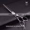 Salon Tool Professional Hair Cutting Scissors Diamond Ball Bearing Screw Thinning Scissors Apanese Technology Stainless Steel
