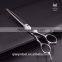 Salon Tool Professional Hair Cutting Scissors Diamond Ball Bearing Screw Thinning Scissors apanese technology stainless steel