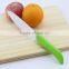 High-grade Sharp Blade Ceramic Fruit Knife with Plastic Case