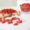 Most Popular Heathy Goji Berry Seeds Wolfberry Rich In Antioxidant Tea