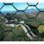 China manufacture/PVC Hexagonal Netting