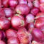 Fresh Wholesale Organic Onions Red Onion Fresh Onion Price New Work Red Onion Exit