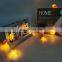 New Designed Popular Starfish/Conch/Seashell Shaped LED String Light