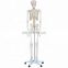 Life-size 180 cm Cheap Plastic Skeleton Human Anatomy Skeleton Model Science Toy for Sale