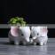 Simple outdoor gardening creative succulent flower pot Elephant ceramic flower pot