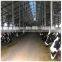 Metal Farm Design Steel Structure Prefabricated Cattle Shed